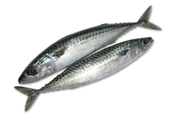 Mackerel Fish (4 Pieces)