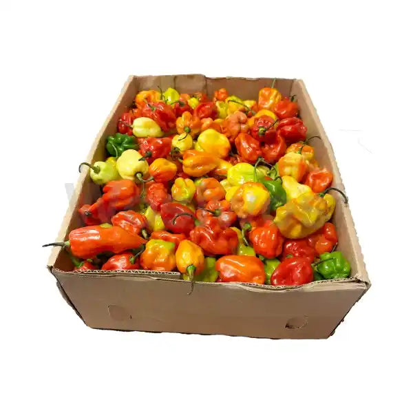 Scotch Bonnet Hot Pepper (Ata Rodo) 500g
